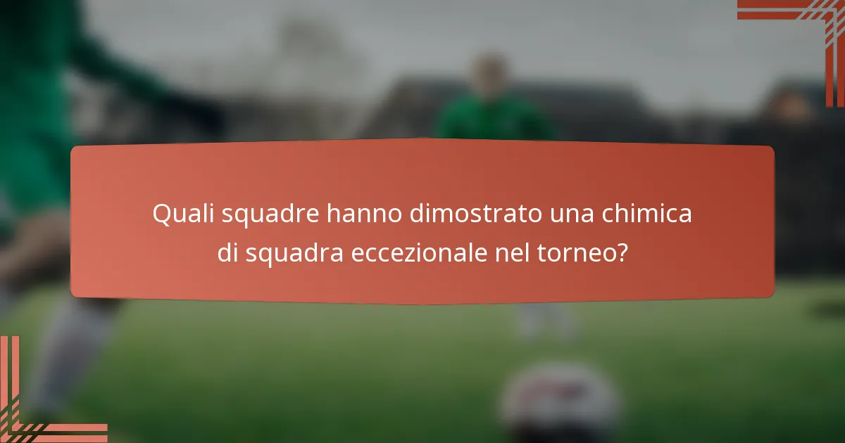 Quali squadre hanno dimostrato una chimica di squadra eccezionale nel torneo?